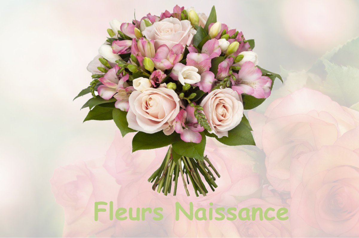 fleurs naissance SAINT-HAON