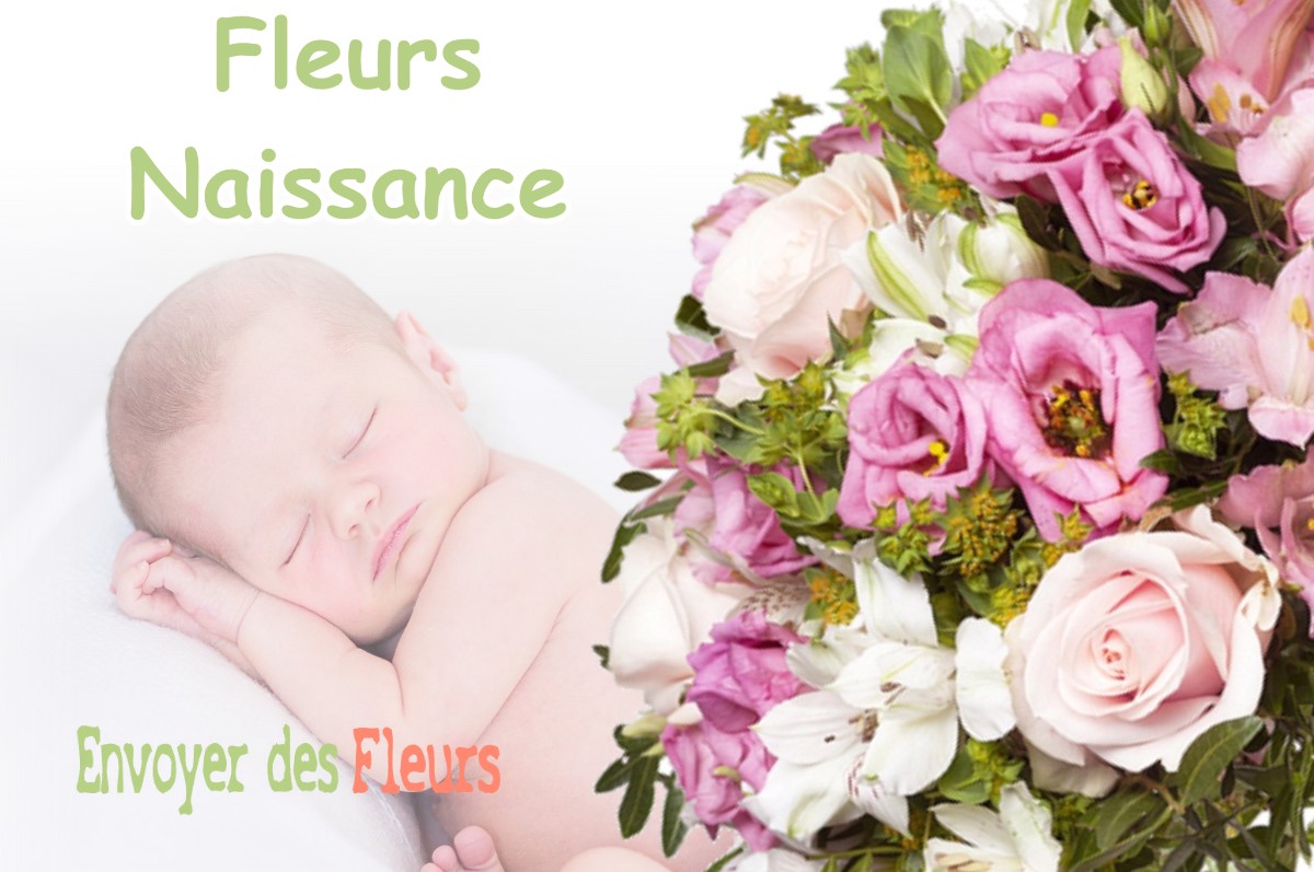 lIVRAISON FLEURS NAISSANCE à SAINT-HAON